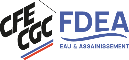 logo FDEA complet _ couleur_500px